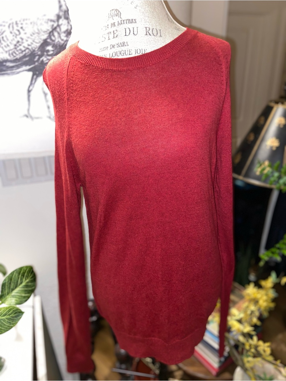 Banana Republic Crimson Crewneck Sweater small